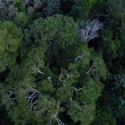 Na COP27, Brasil lista ações de sustentabilidade dos últimos 4 anos