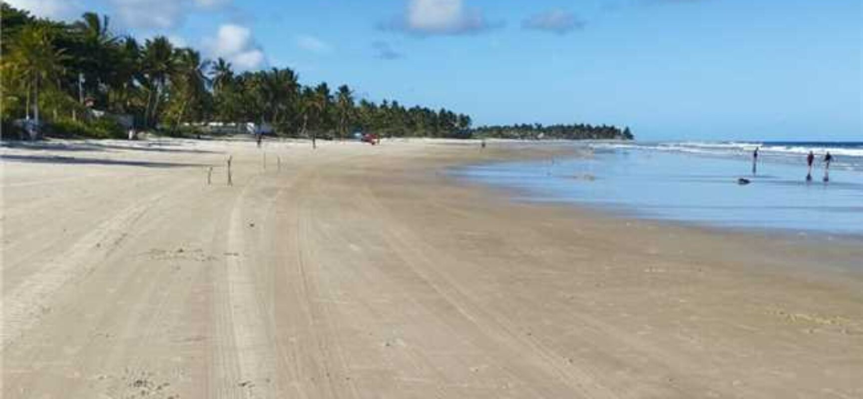 Prefeitura de Ilhéus realiza mutirão e intensifica limpeza de praias para retirada de baronesas