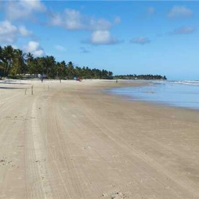Prefeitura de Ilhéus realiza mutirão e intensifica limpeza de praias para retirada de baronesas