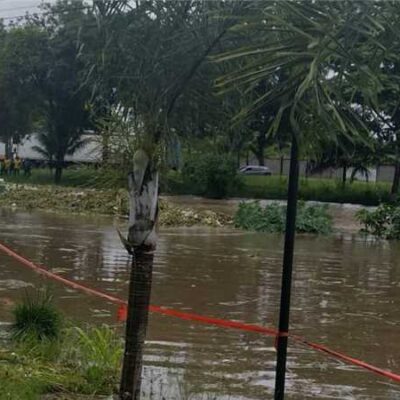 Sesau alerta população para riscos de leptospirose e orienta sobre cuidados contra a doença
