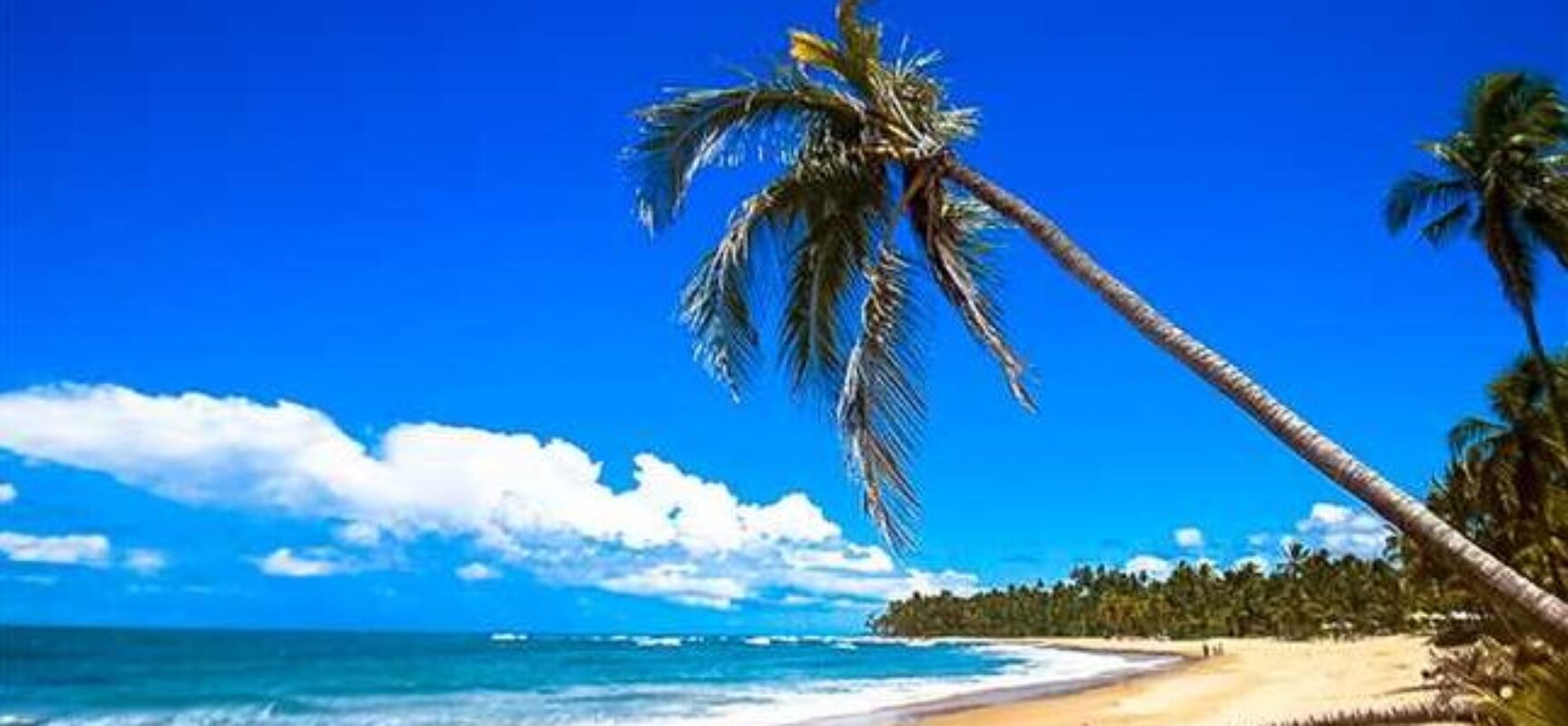 Alta estação: taxa de ocupação da rede hoteleira de Ilhéus chega a 85% neste final do ano