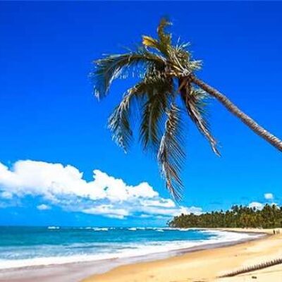 Alta estação: taxa de ocupação da rede hoteleira de Ilhéus chega a 85% neste final do ano