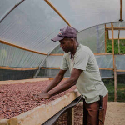 Seminário discute cooperativismo como forma de comercializar cacau de qualidade