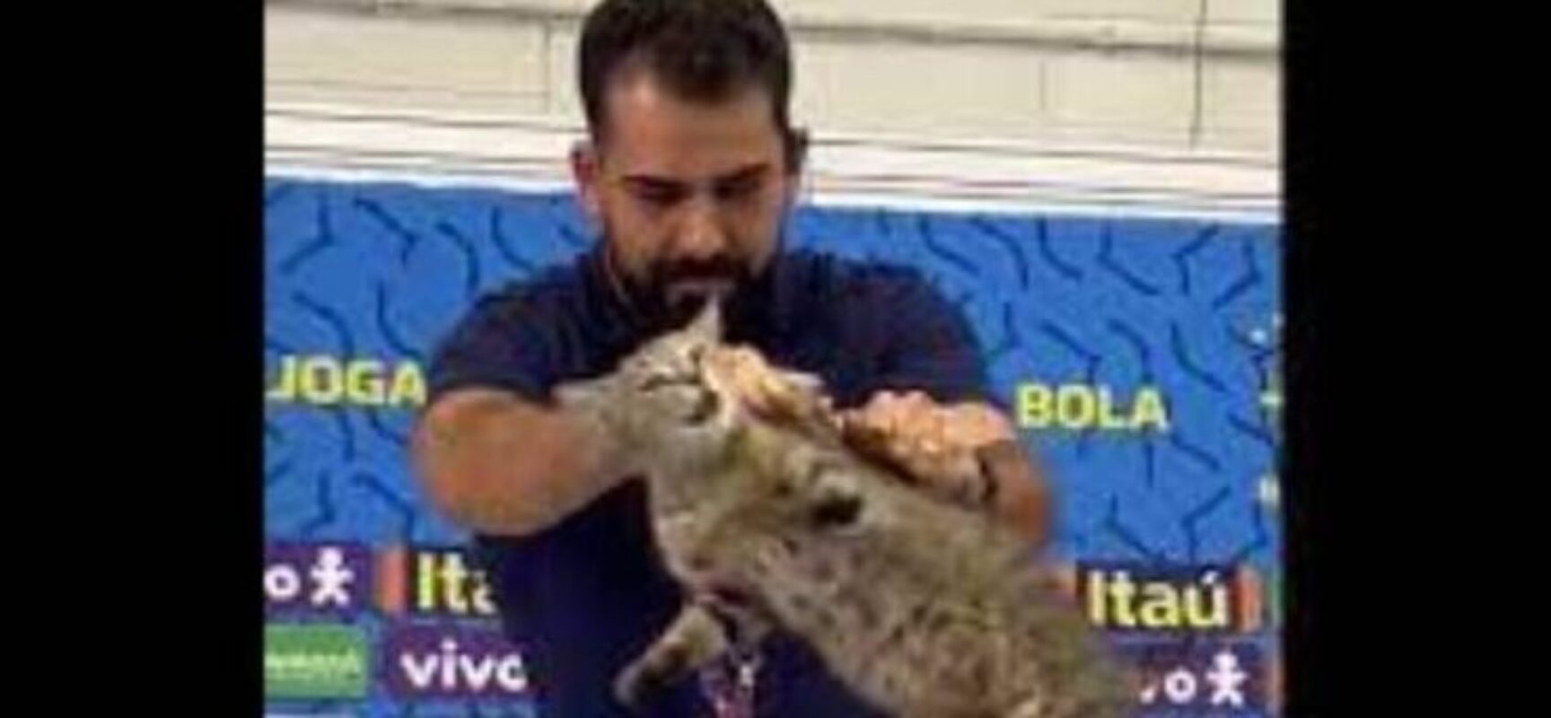 ONG de defesa de animais pede que CBF pague multa de R$ 1 milhão após assessor arremessar gato durante coletiva