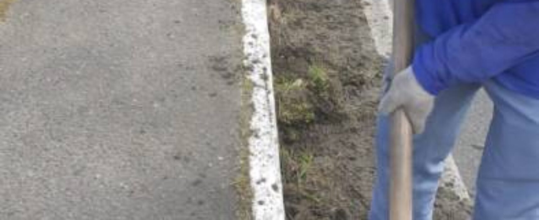 Prefeitura intensifica a roçagem de áreas, poda de árvores e coleta de entulho em Itabuna