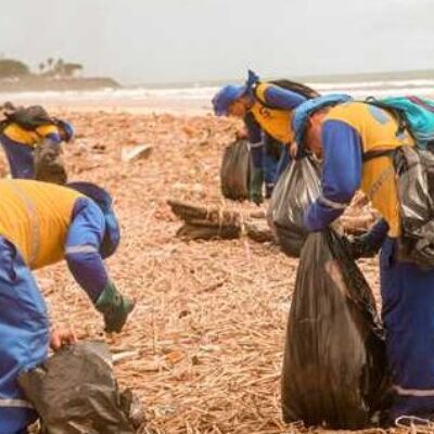 Prefeitura de Ilhéus mantém regularidade na limpeza de praias para retirada de baronesas