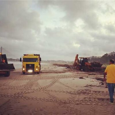 Ilhéus reforça limpeza de praias e prefeito acompanha operação para retirada das baronesas