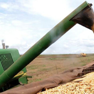 Contribuição previdenciária sobre o valor da receita bruta da agroindústria é constitucional