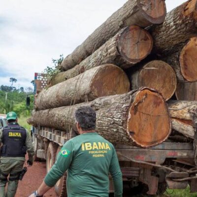Ibama: Grupo vai fiscalizar fraudes em sistemas de controle florestal