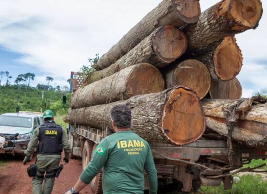 Ibama: Grupo vai fiscalizar fraudes em sistemas de controle florestal