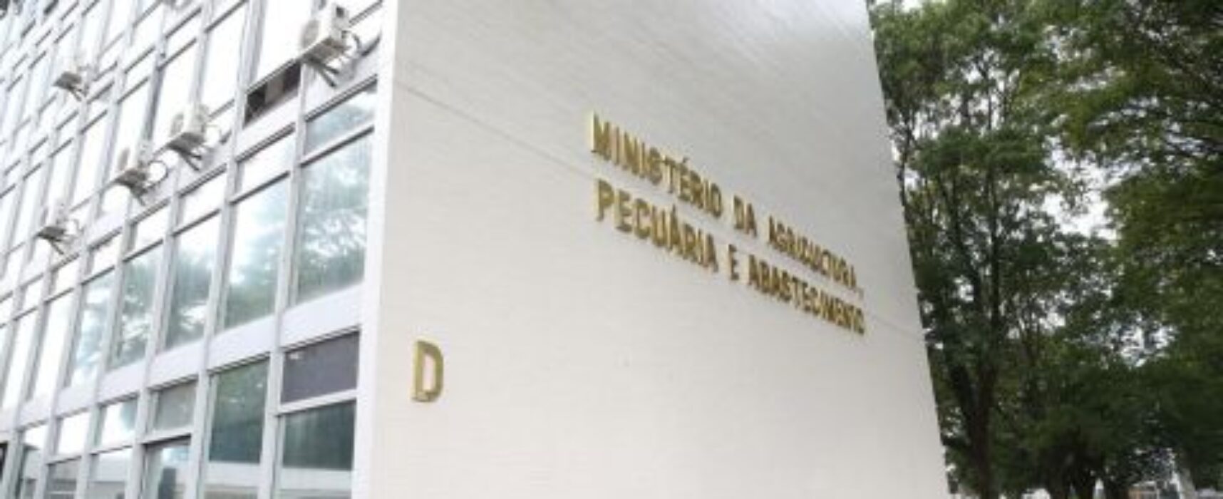 Gripe aviária chega ao Uruguai e Brasil reforça vigilância