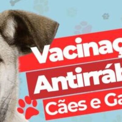 Prefeitura de Itabuna inicia na terça-feira a vacinação antirrábica de cães e gatos