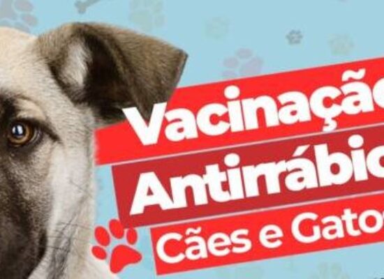 Prefeitura de Itabuna inicia na terça-feira a vacinação antirrábica de cães e gatos