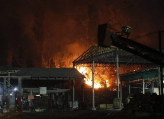 Incêndios florestais provocam 13 mortes no Chile