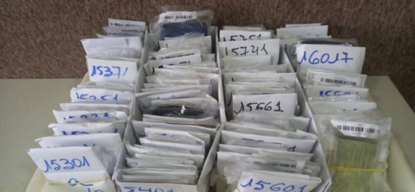 Polícia Militar recupera 567 documentos perdidos no Carnaval de Salvador