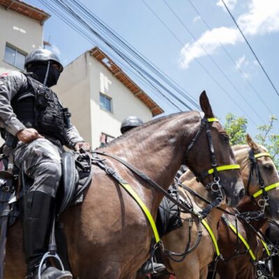 Propostas proíbem uso de cavalos em operações das forças de segurança