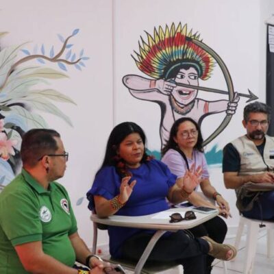 Ministra diz que é preciso garantir alimentos próprios dos yanomami