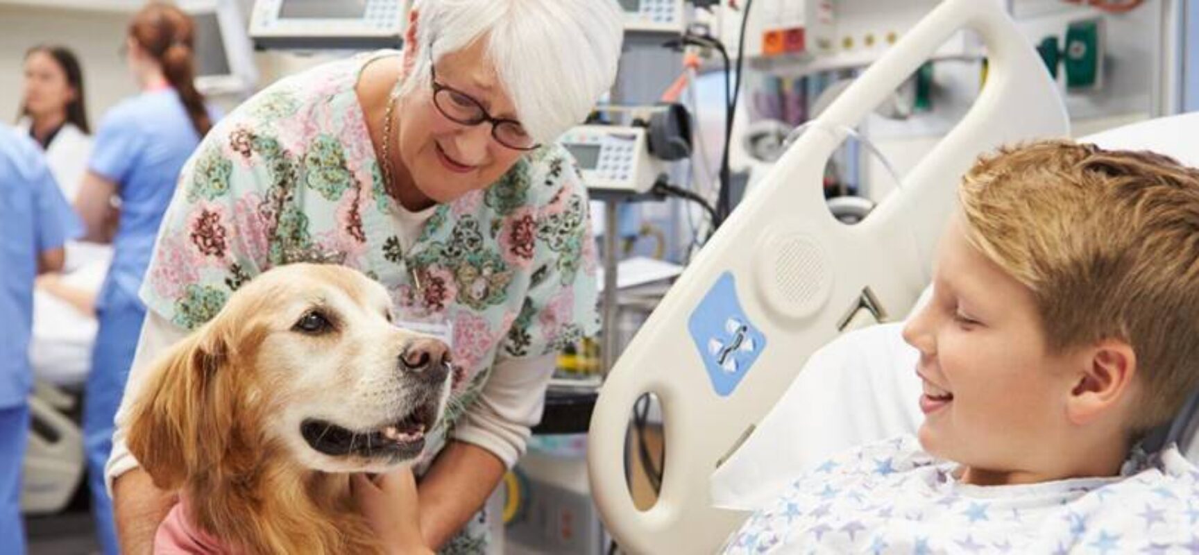 Projeto permite visita de animais a pacientes internados em hospitais