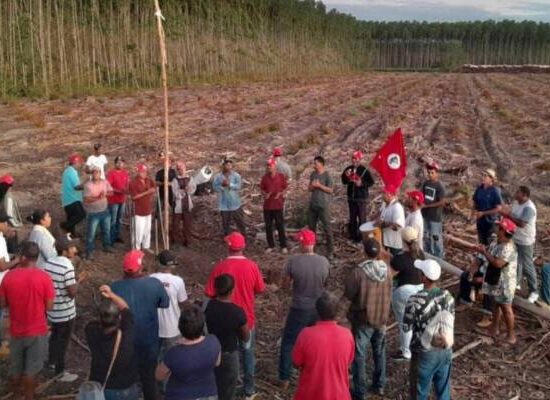 Três fazendas exportadoras de celulose são invadidas pelo MST no extremo Sul da Bahia