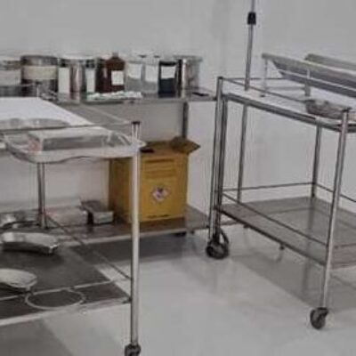 População de Ilhéus pode agendar castração gratuita de cães e gatos a partir desta sexta (31)