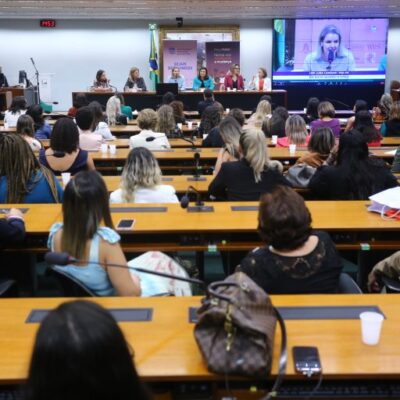Participantes de seminário defendem mudanças na legislação para aumentar presença de mulheres na política