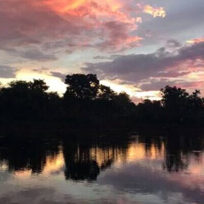 Dia Mundial da Água: Cerrado pode perder quase 34% da água até 2050