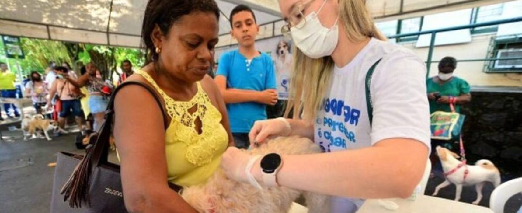 Prefeitura de Salvador vai contratar médicos veterinários via REDA