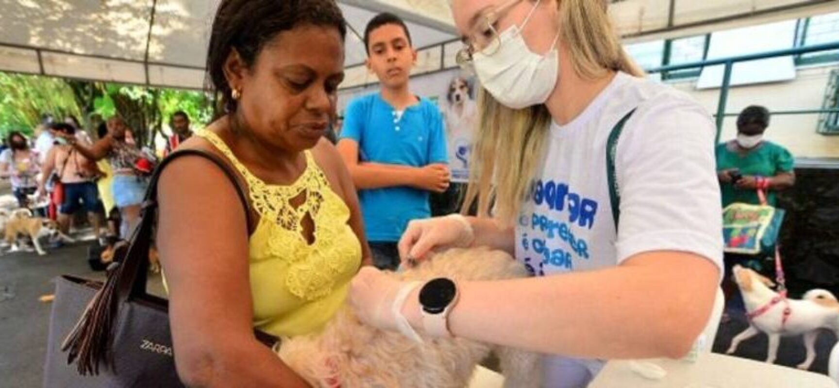 Prefeitura de Salvador vai contratar médicos veterinários via REDA