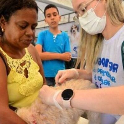 Prefeitura de Salvador vai contratar médicos veterinários via REDA