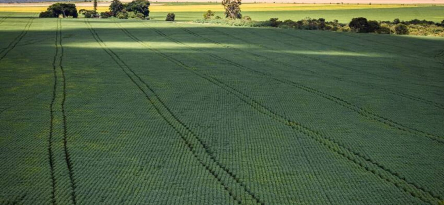 Estudo aponta desafios do seguro rural em meio a mudanças climáticas