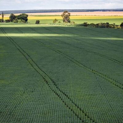 Estudo aponta desafios do seguro rural em meio a mudanças climáticas
