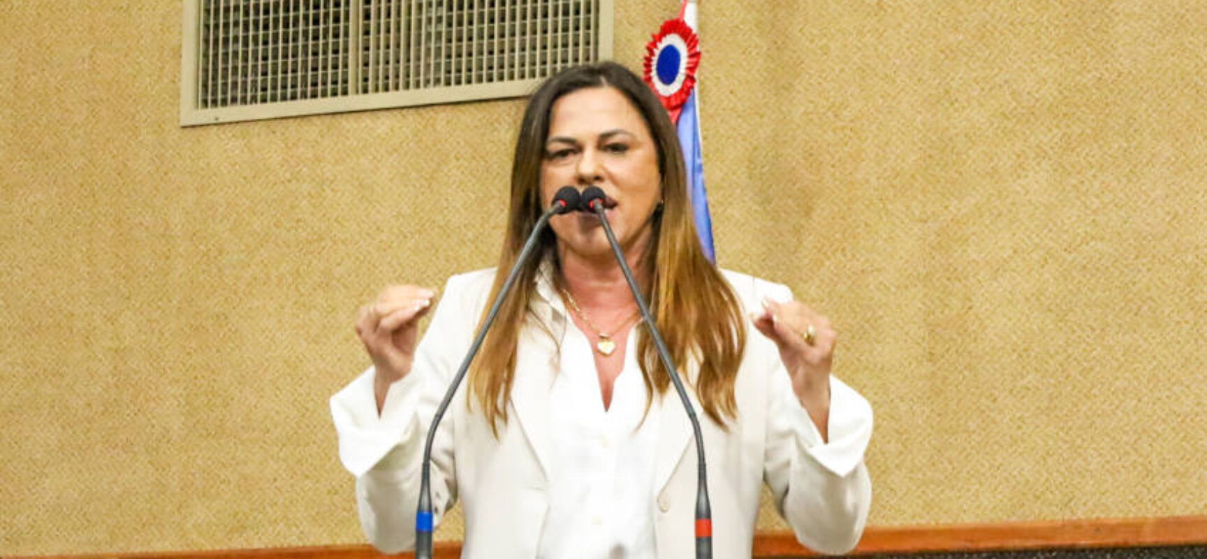 Deputada Soane Galvão Apresenta Projeto que Luta por Mulheres que Perderam Seus Filhos.
