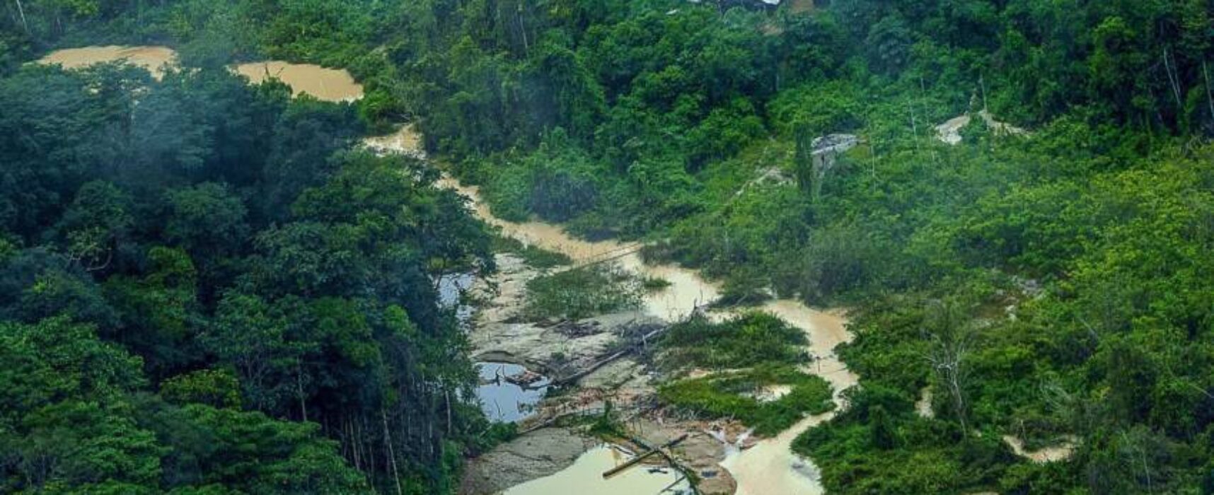Greenpeace Brasil encontra 176 escavadeiras em terras Yanomami