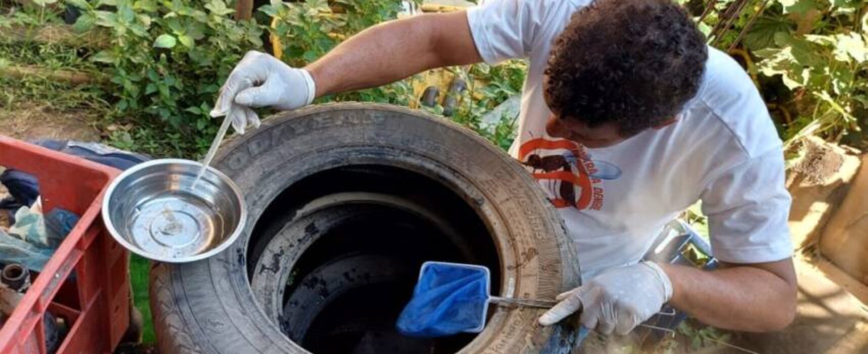 Prefeitura alerta para casos de chikungunya que estão subindo em Itabuna
