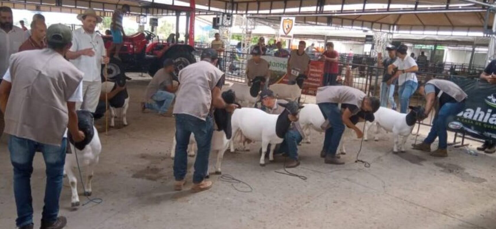 Setur-BA incentiva feiras agropecuárias para impulsionar turismo rural