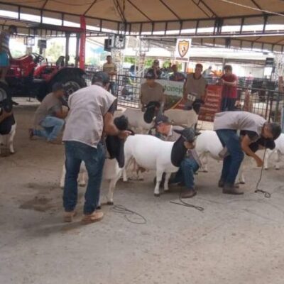 Setur-BA incentiva feiras agropecuárias para impulsionar turismo rural