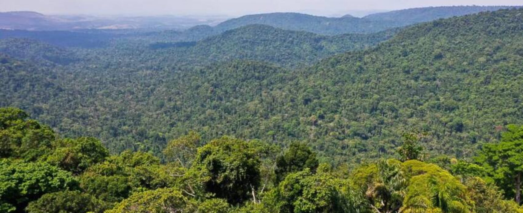 Dia do Meio Ambiente marca conquistas e desafios para a gestão ambiental da Bahia