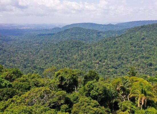 Plano de Segurança na Amazônia prevê 34 bases fluviais e terrestres