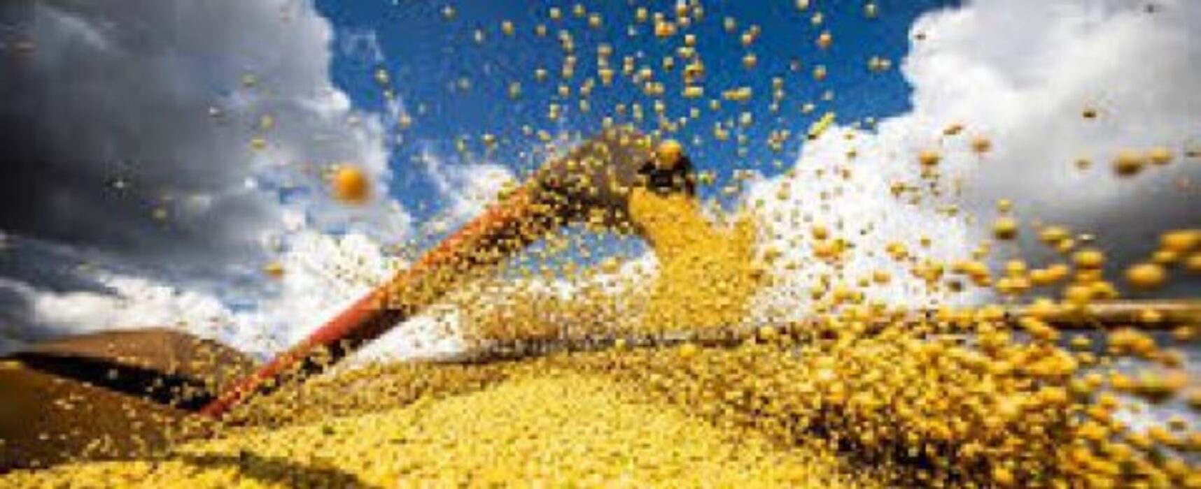 Preços derrubam participação do agronegócio no PIB da Bahia