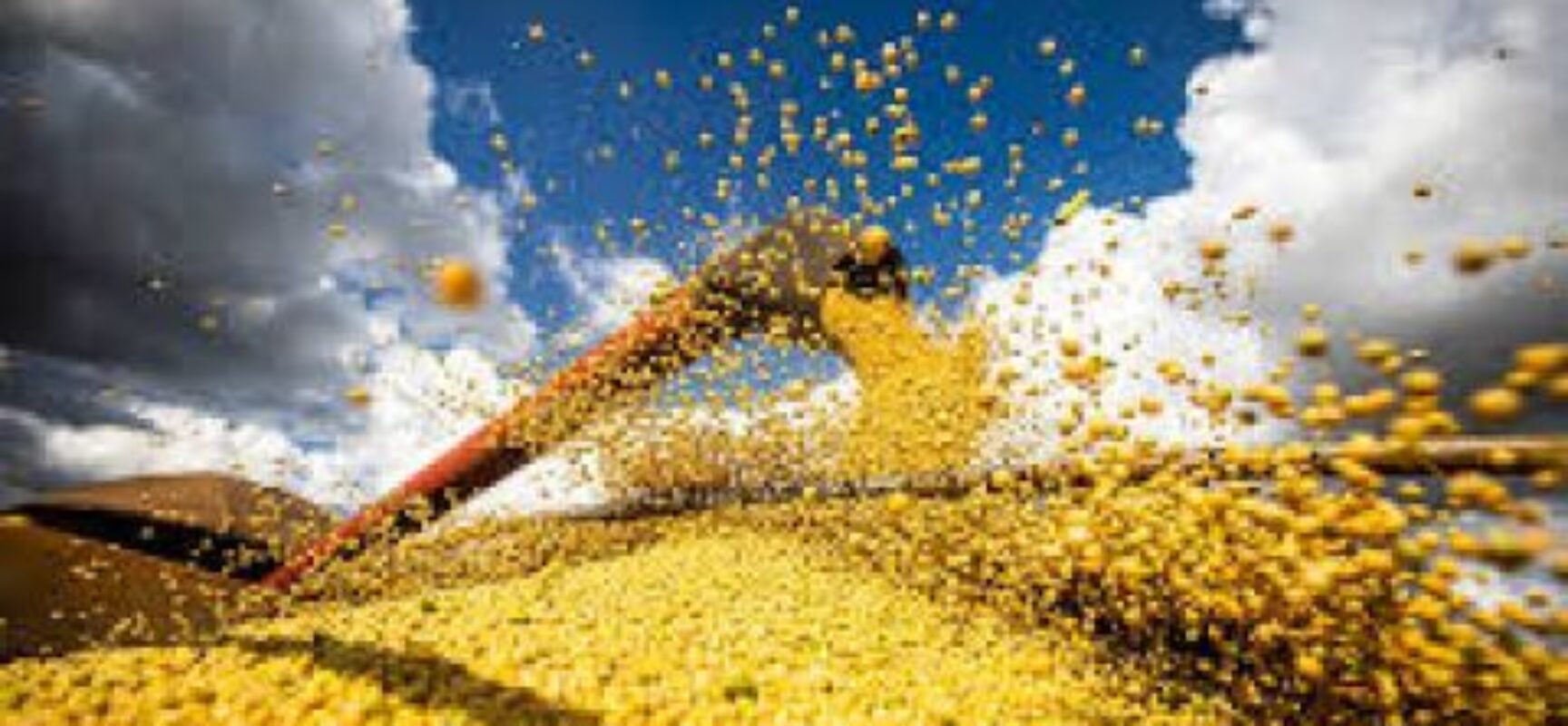 Preços derrubam participação do agronegócio no PIB da Bahia
