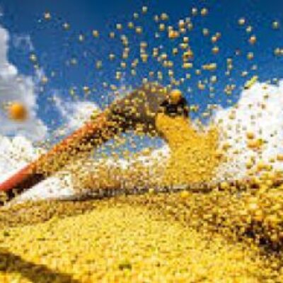 Preços derrubam participação do agronegócio no PIB da Bahia
