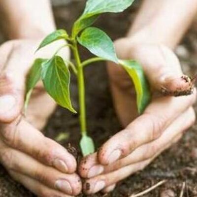 Seduc promove Caminhada Ecológica com alunos da Escola Municipal Rotary nesta segunda-feira (5)