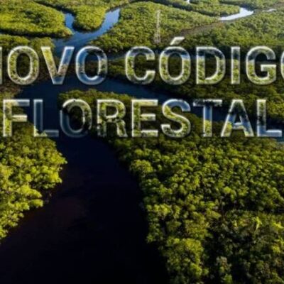 Especial meio ambiente: há cinco anos o STF julgava uma série de normas previstas no Novo Código Florestal