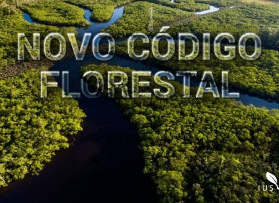 Especial meio ambiente: há cinco anos o STF julgava uma série de normas previstas no Novo Código Florestal