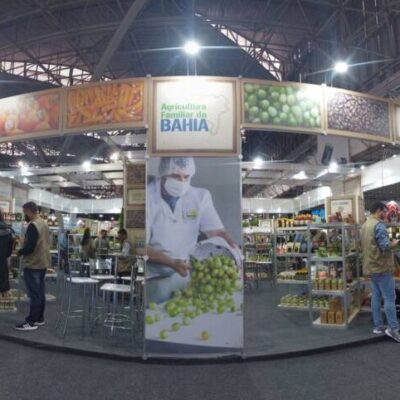 Agricultura familiar da Bahia conquista mercado em São Paulo e projeta resultados ainda mais expressivos na Naturaltech 2023