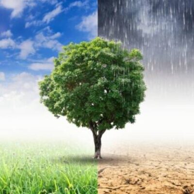 Especialistas defendem educação climática integrada a disciplinas do currículo escolar