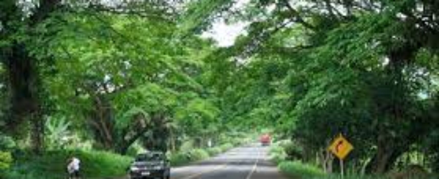 Comunicado | interdição de trecho da BR-415 para desmonte de rocha nesta quinta-feira (1º)