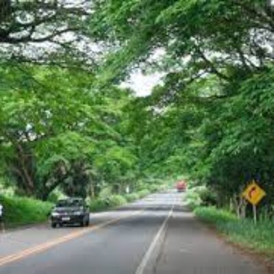 Comunicado | interdição de trecho da BR-415 para desmonte de rocha nesta quinta-feira (1º)