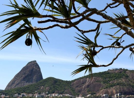 Rio de Janeiro: Justiça paralisa obras da tirolesa do Pão de Açúcar
