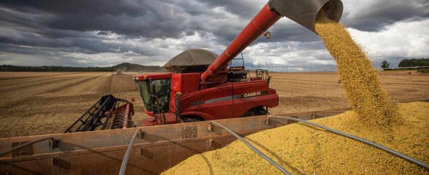 Conab estima safra recorde de 317,6 milhões de toneladas em 2023